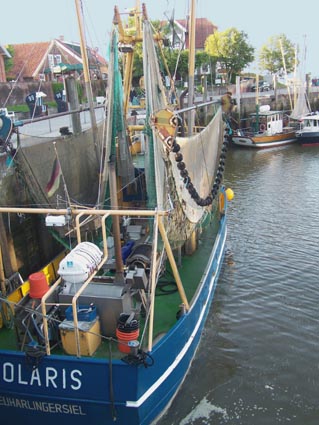 Neuharlingersiel- Hafen mit Kutter
