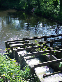 Barmstedt -
                        Fischtreppe