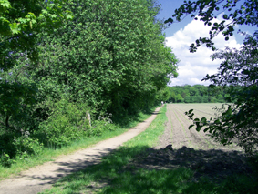 Wanderweg nach Barmstedt