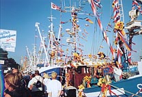 Hafen B�sum bei
                      Regatta