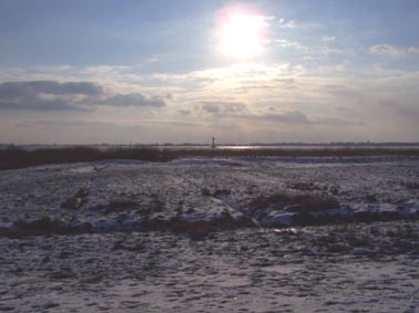 Kollmar Elbvorland bei Gegenlicht