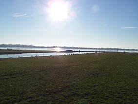 Kollmar Kr�ckaum�ndung L�hnh�serdeich